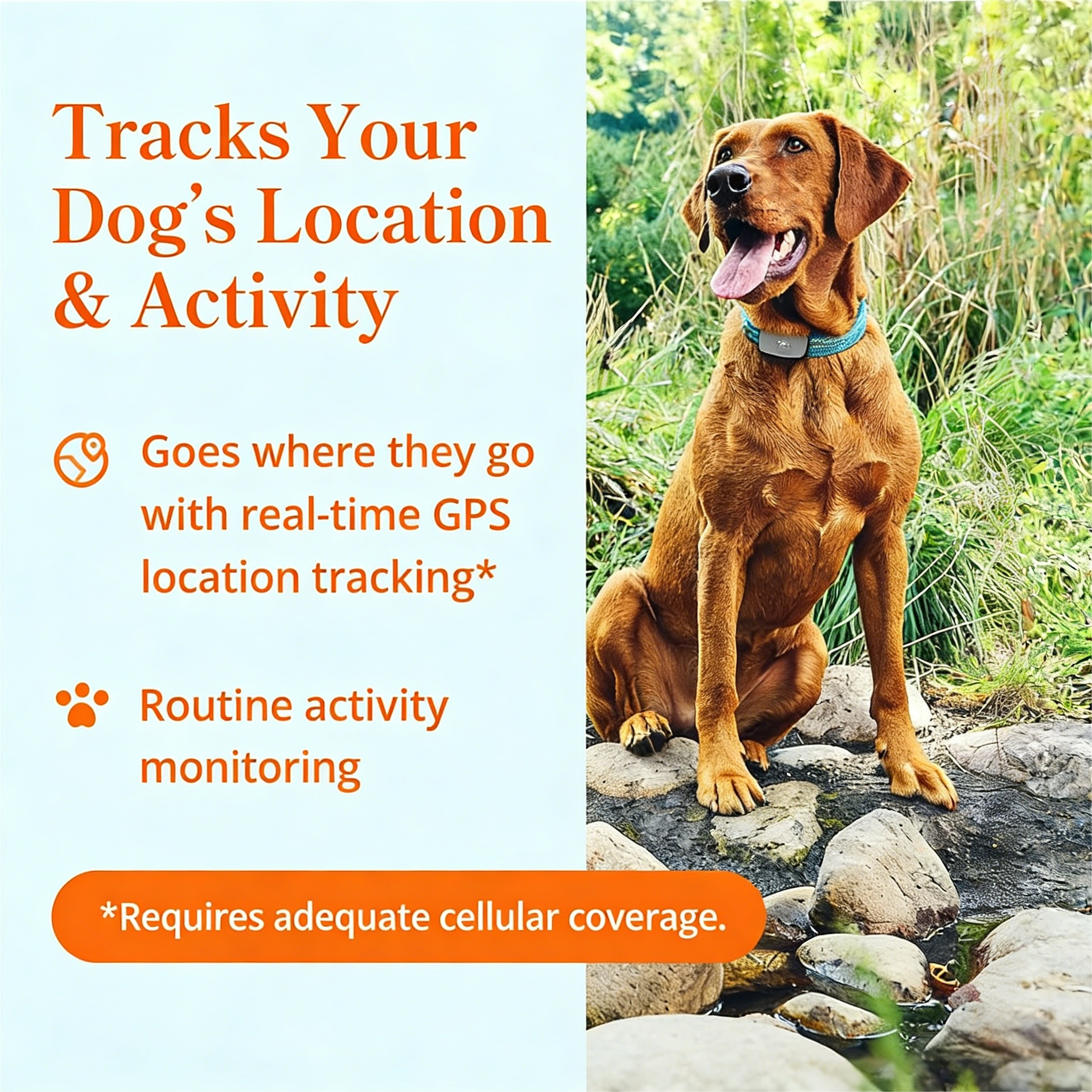 Smart GPS and Activity Pet Tracker for Dogs Powered by Purina