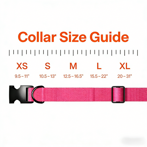 Fi Series 3+ Smart Dog Tracker Collar [6 Month Membership Included] GPS Tracker for Dogs with Health & Behavior Monitoring