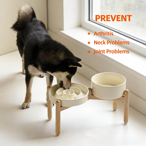 Raised Slow Feeder Dog Bowl Set, Elevated 7.3inch Bowl and 8.2inch Puzzle Slow Dish with Wooden Stand for Medium and Large Dog