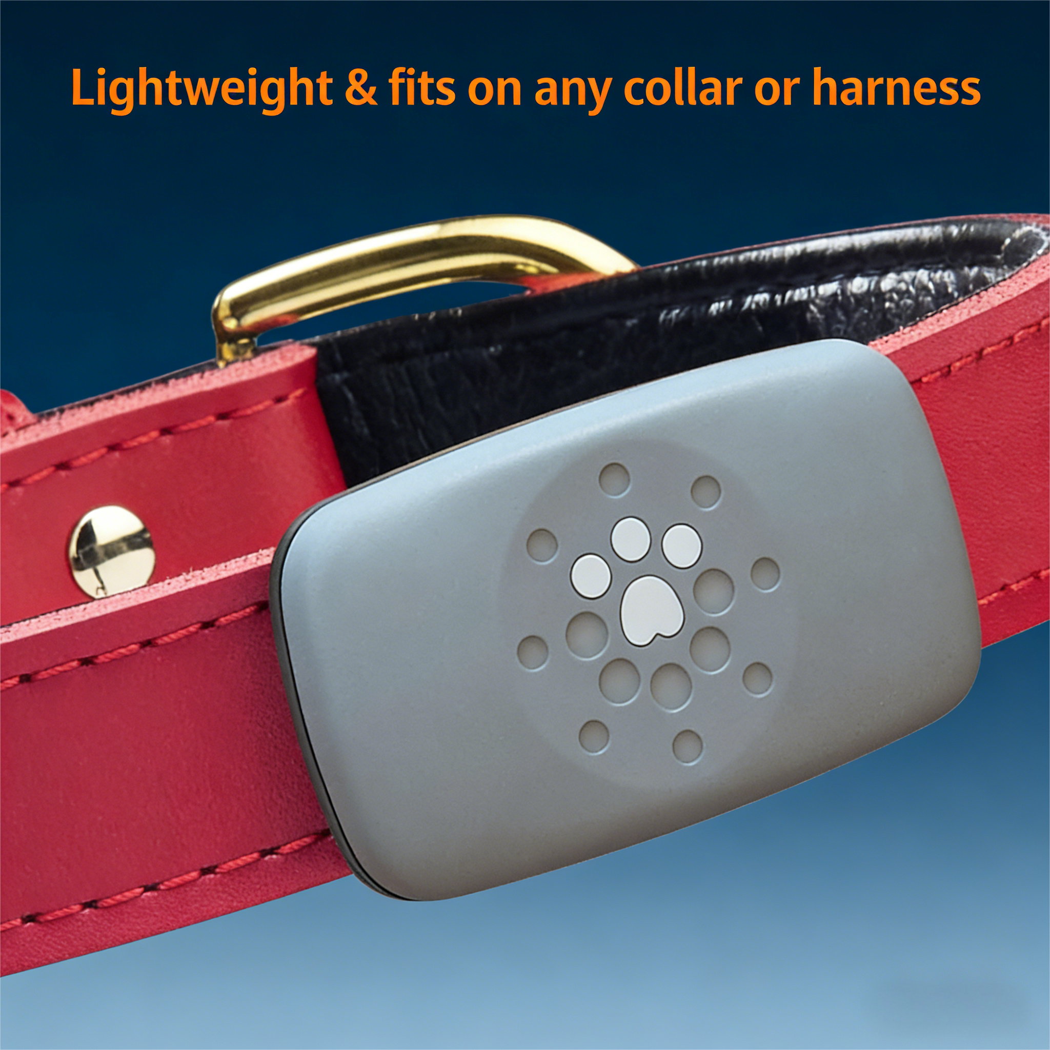 Smart GPS and Activity Pet Tracker for Dogs Powered by Purina