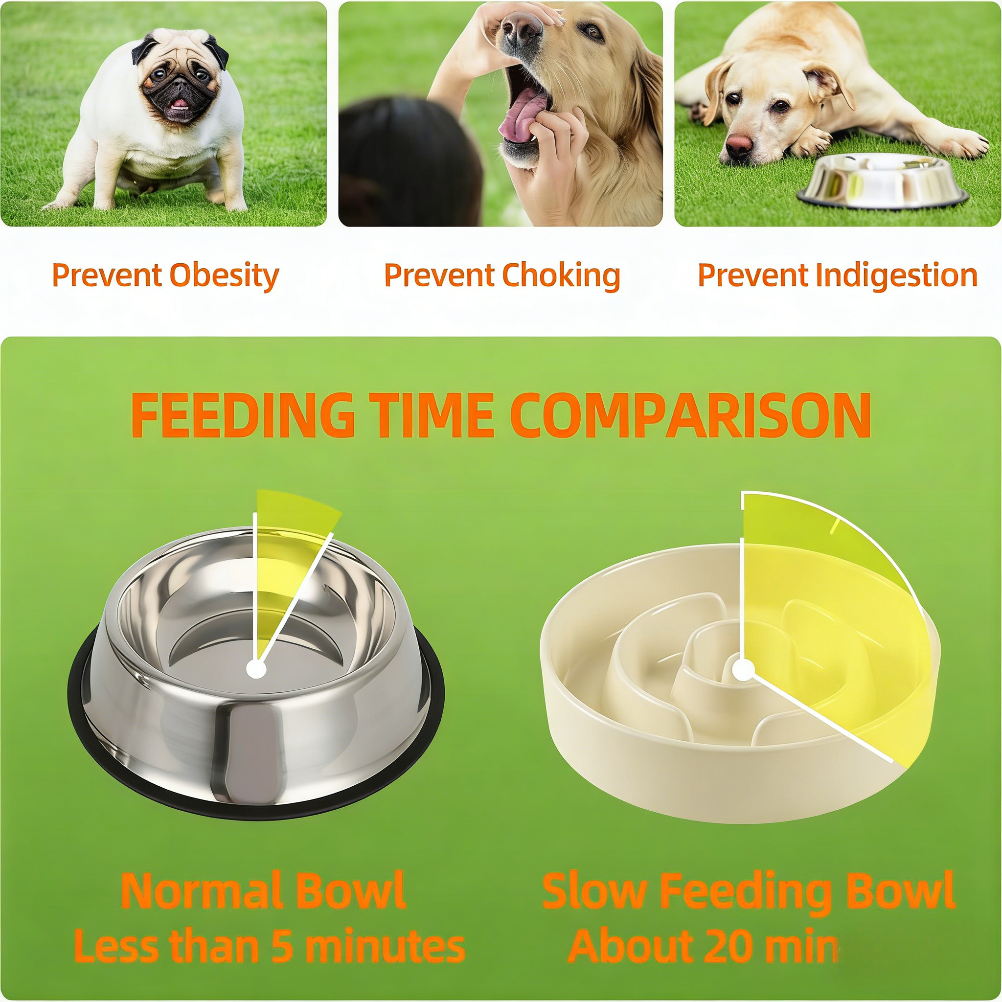 Raised Slow Feeder Dog Bowl Set, Elevated 7.3inch Bowl and 8.2inch Puzzle Slow Dish with Wooden Stand for Medium and Large Dog