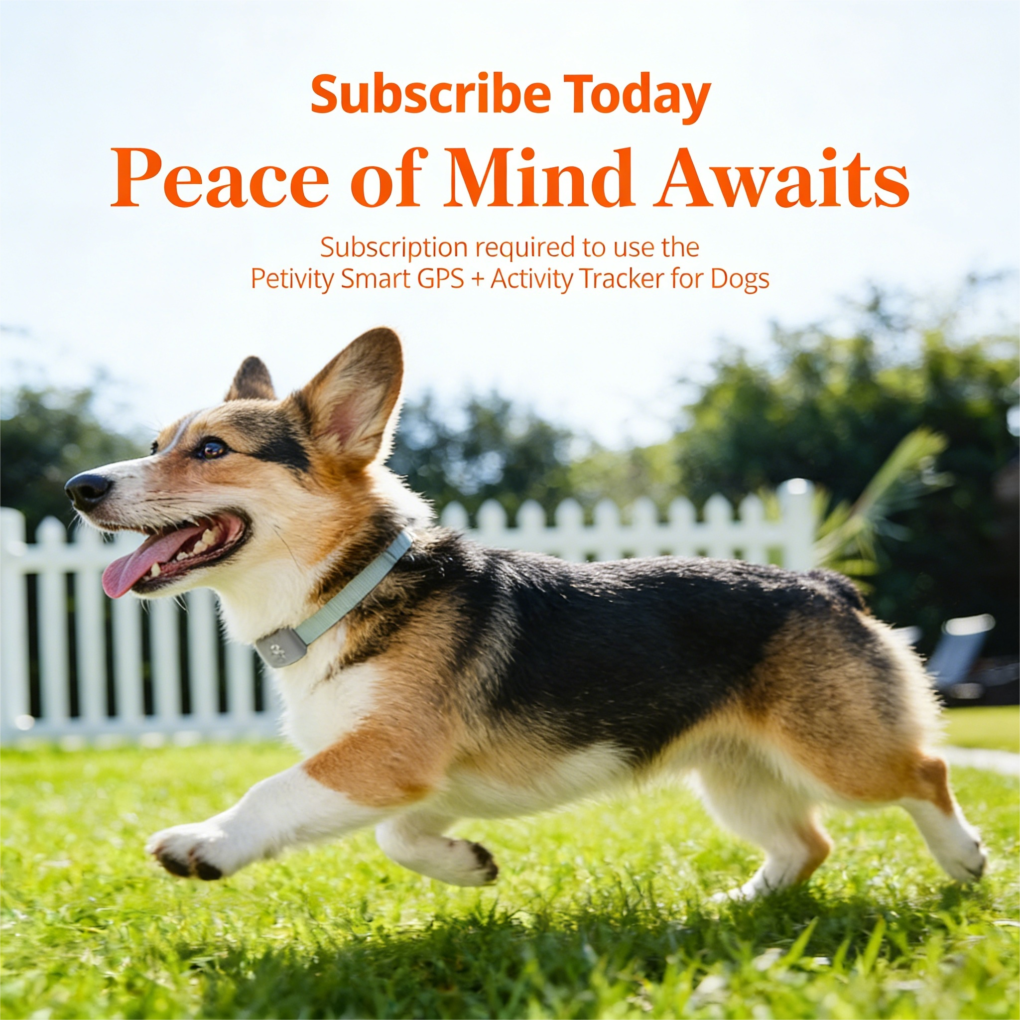 Smart GPS and Activity Pet Tracker for Dogs Powered by Purina