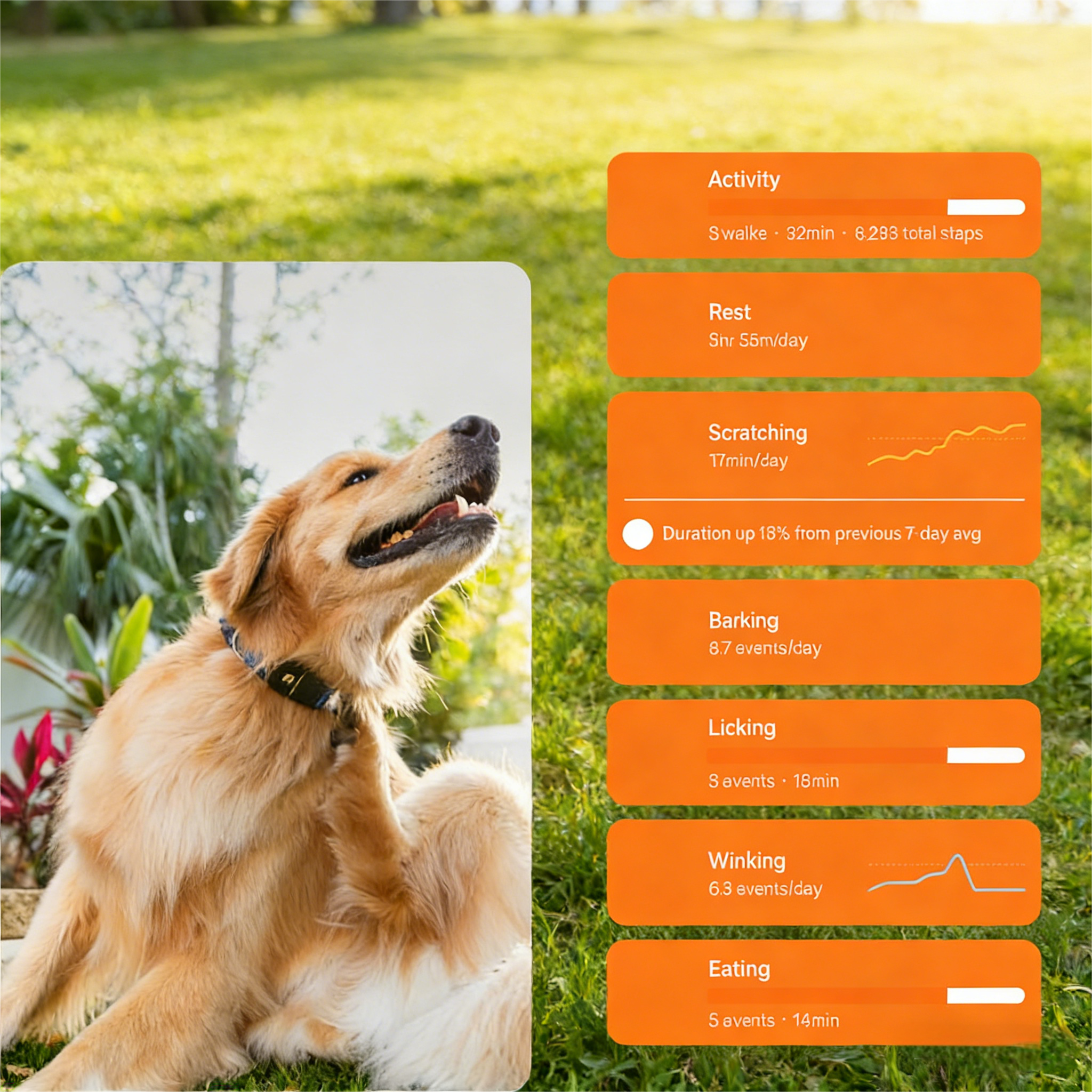 Fi Series 3+ Smart Dog Tracker Collar [6 Month Membership Included] GPS Tracker for Dogs with Health & Behavior Monitoring