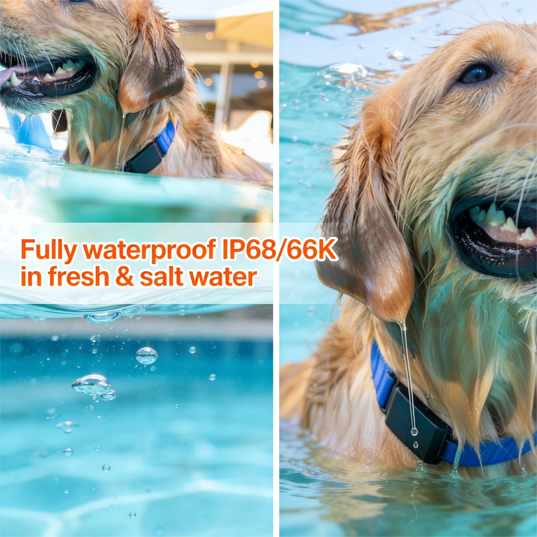 Fi Series 3+ Smart Dog Tracker Collar [6 Month Membership Included] GPS Tracker for Dogs with Health & Behavior Monitoring